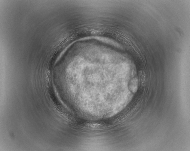 X0000115550650200912041033