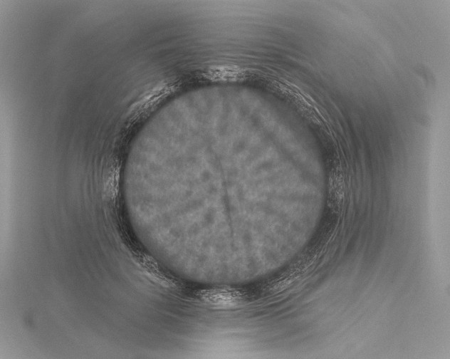 X0000115550652200912041033