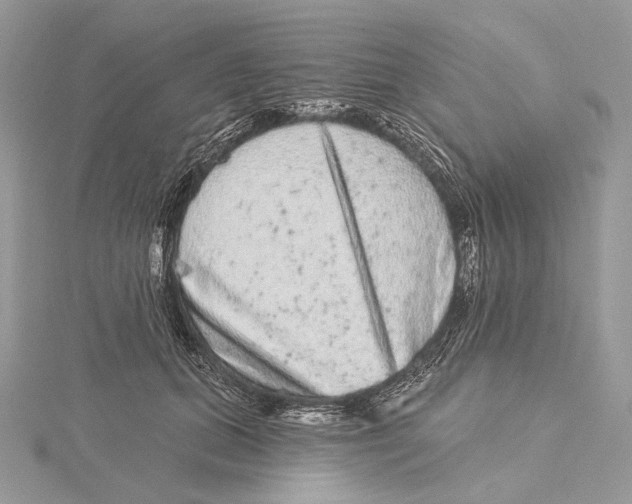 X0000115550655200912041033