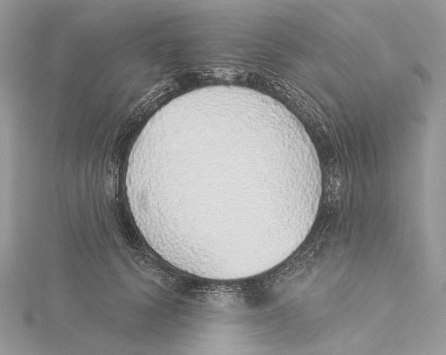 X0000115550656200912041033