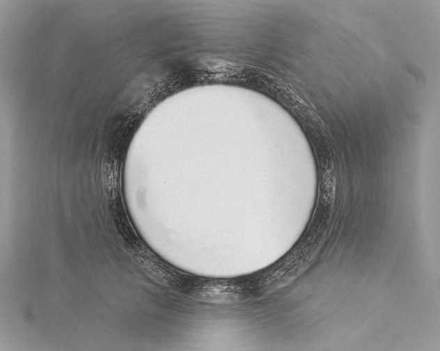 X0000115550657200912041033