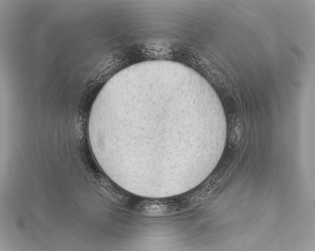 X0000115550658200912041033