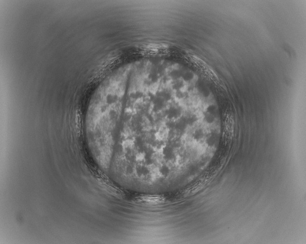 X0000115550659200912041033