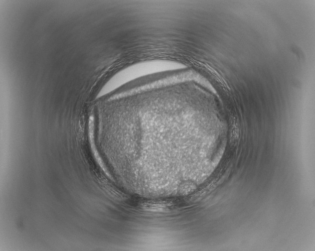 X0000115550661200912041033