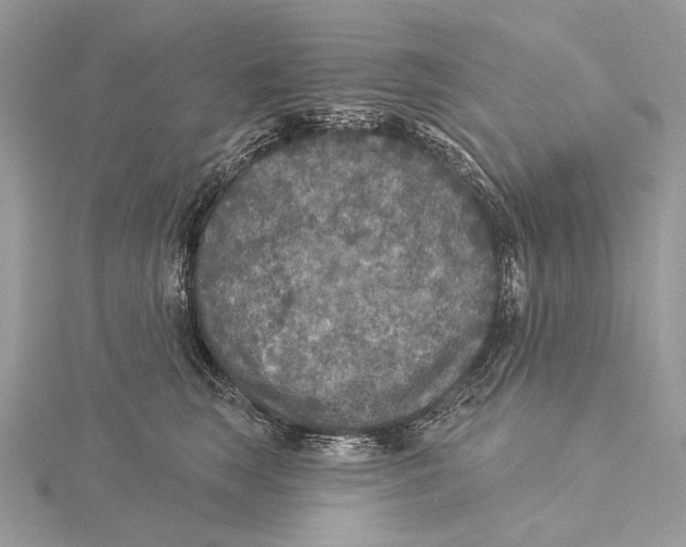 X0000115550663200912041033