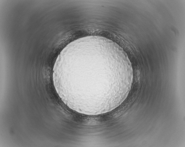 X0000115550664200912041033