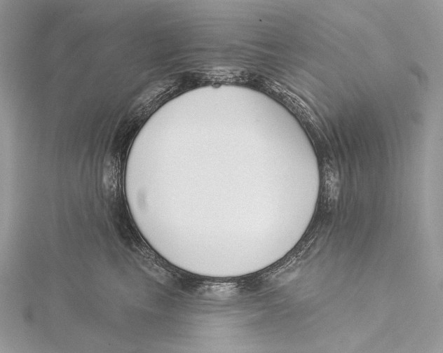 X0000115550665200912041033