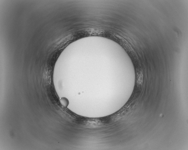 X0000115550666200912041033