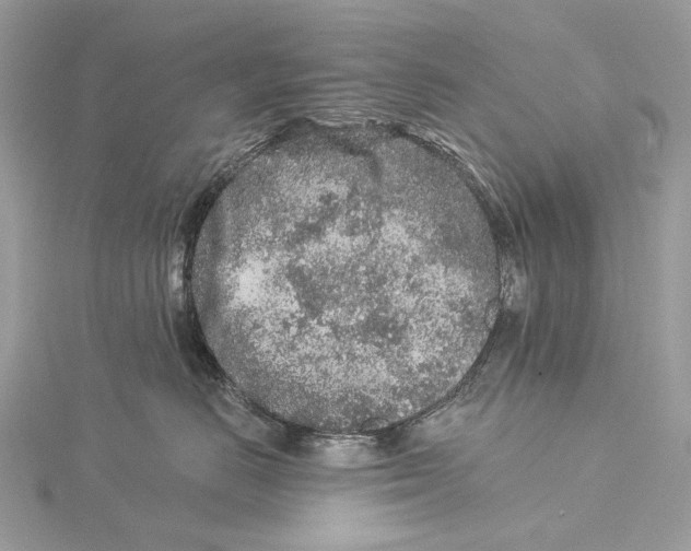 X0000115550670200912041033