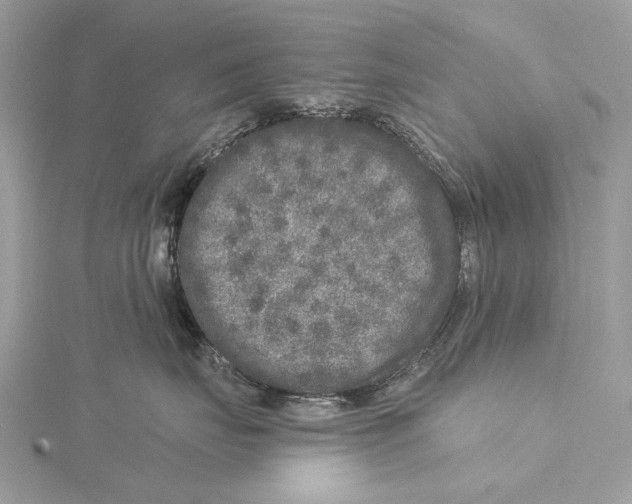 X0000115550671200912041033