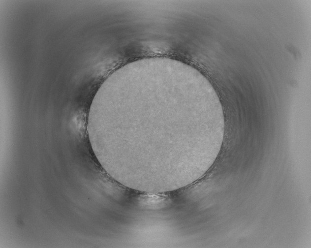 X0000115550672200912041033