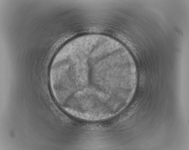 X0000115550673200912041032