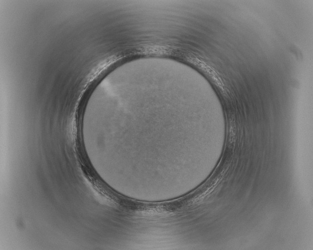 X0000115550674200912041032