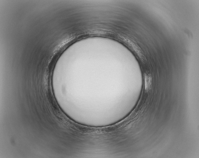 X0000115550675200912041032