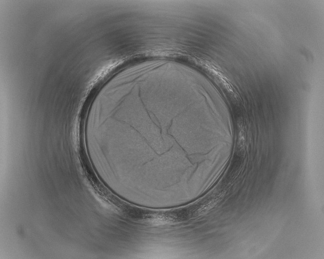 X0000115550678200912041032