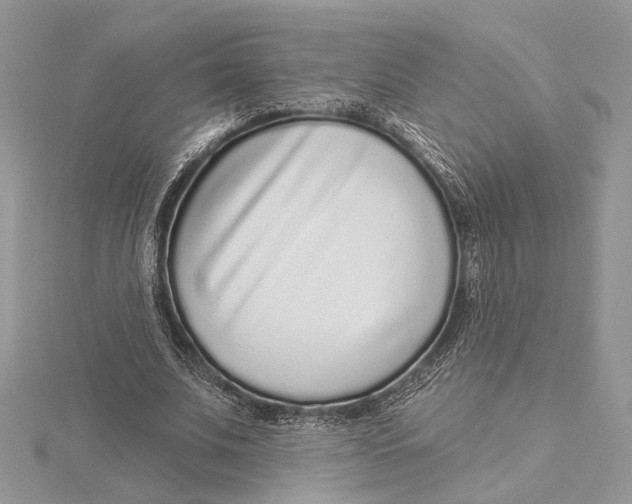 X0000115550679200912041032