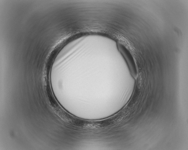 X0000115550680200912041032