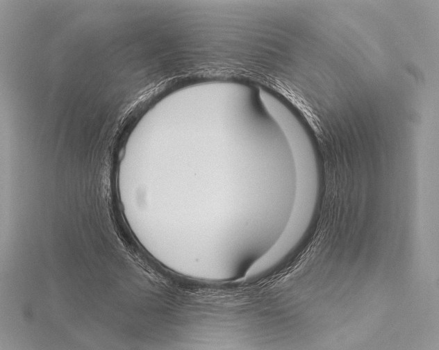 X0000115550681200912041032