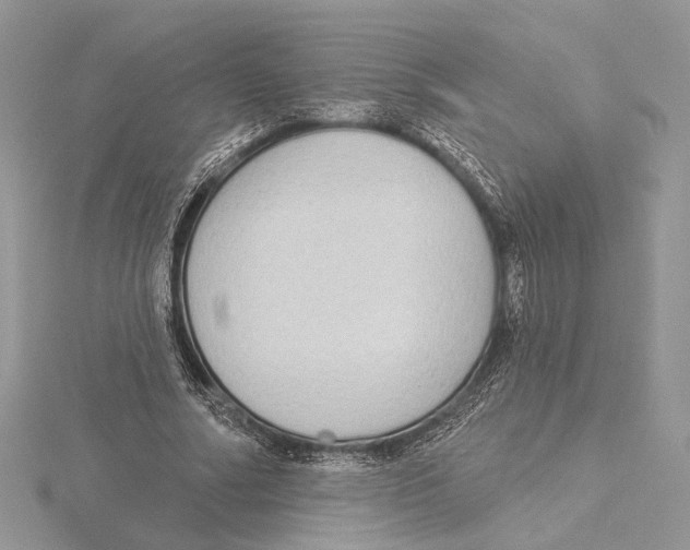 X0000115550682200912041032