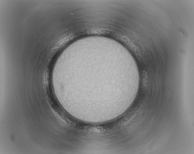 X0000115550683200912041032