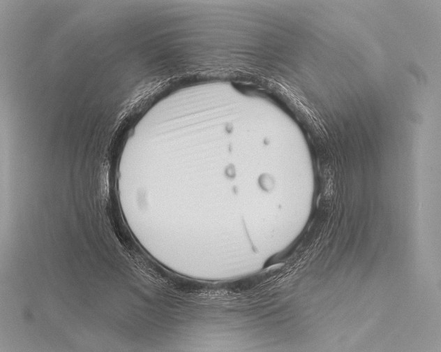 X0000115550685200912041032