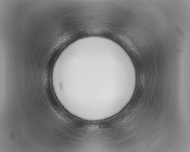 X0000115550687200912041032