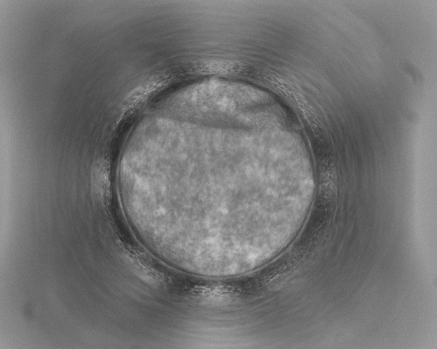 X0000115550688200912041032