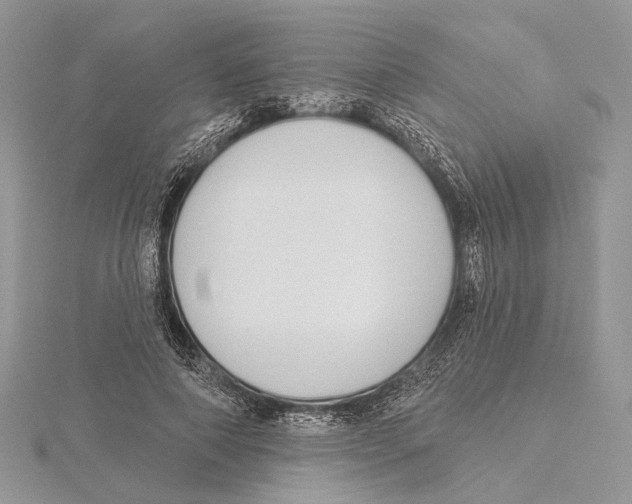 X0000115550690200912041032