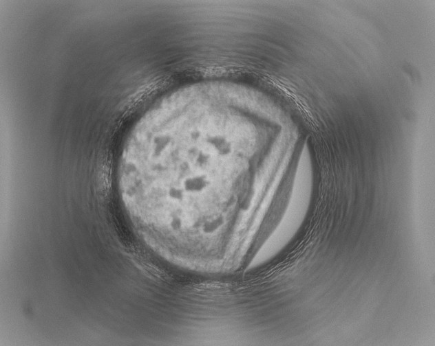 X0000115550691200912041032