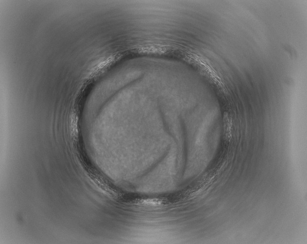 X0000115550692200912041032