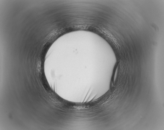 X0000115550693200912041032