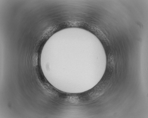 X0000115550694200912041032