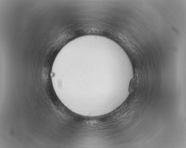 X0000115550695200912041032