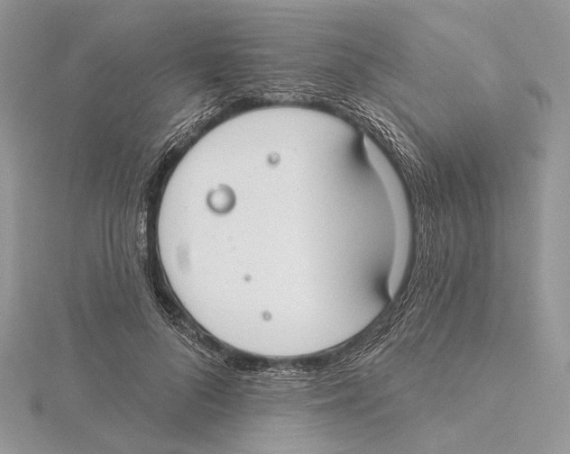 X0000115550696200912041032