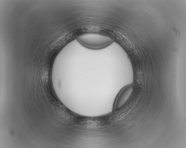 X0000115550697200912041032