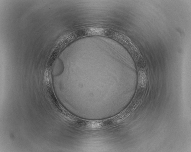 X0000115550701200912041032