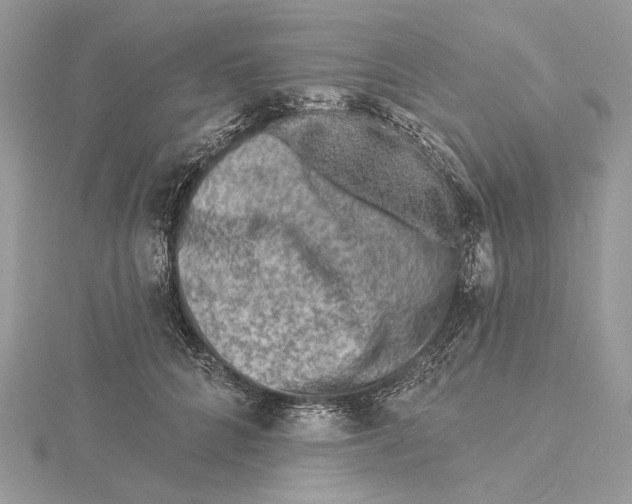 X0000115550704200912041032