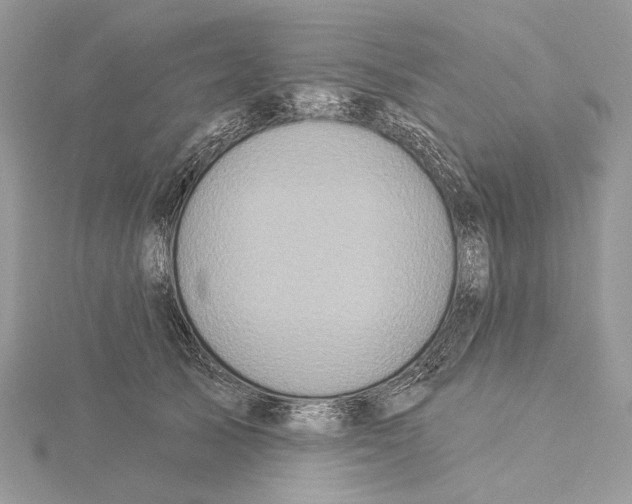 X0000115550705200912041032