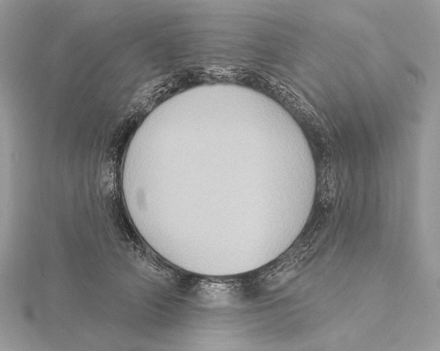 X0000115550706200912041032