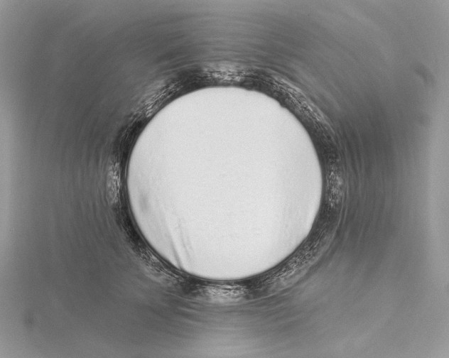 X0000115550707200912041032