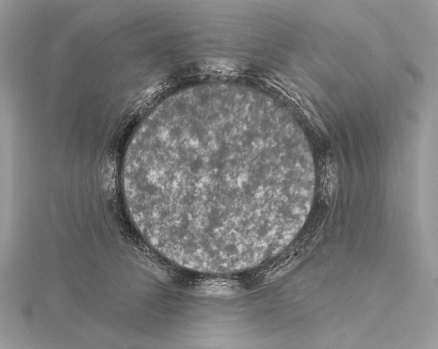 X0000115550708200912041032