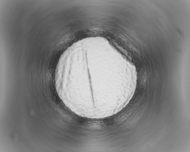 X0000115550711200912041032