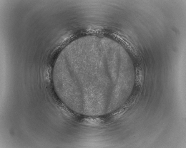 X0000115550712200912041032