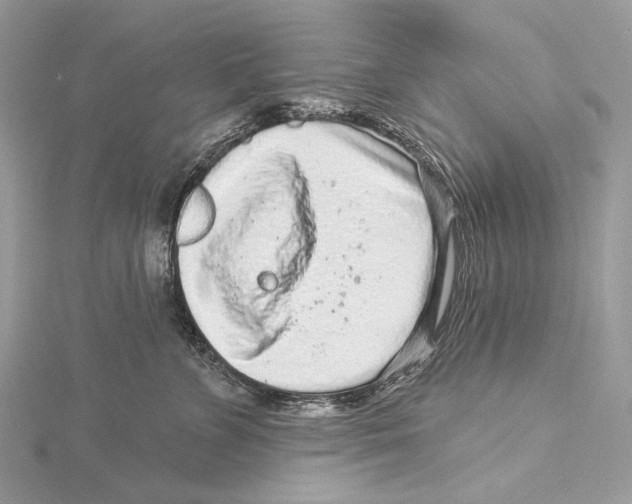 X0000115550715200912041032