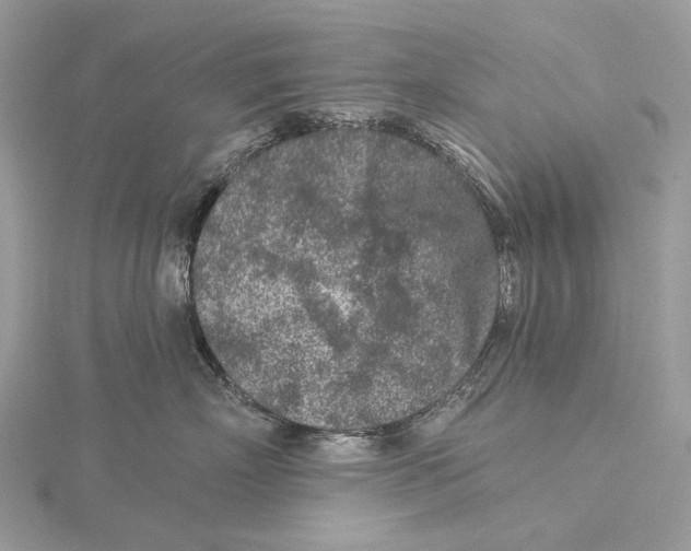 X0000115550718200912041032