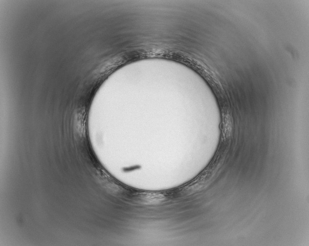 X0000115550719200912041032