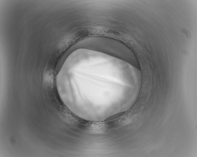 X0000115550720200912041032