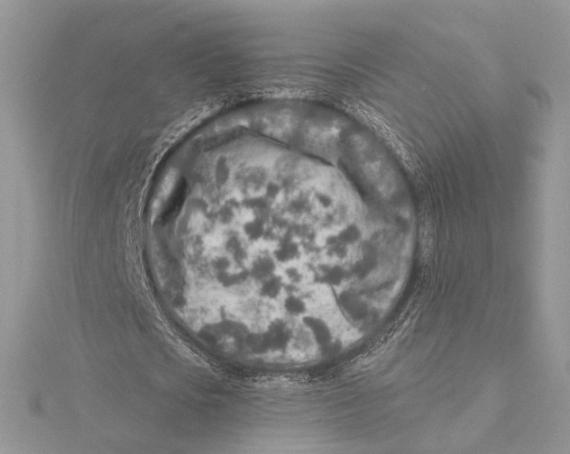 X0000115550721200912041031