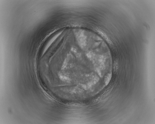 X0000115550722200912041031