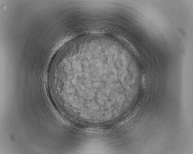 X0000115550725200912041031